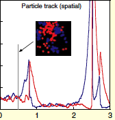 Lotka Volterra dynamics