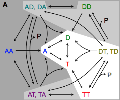 Andrews image