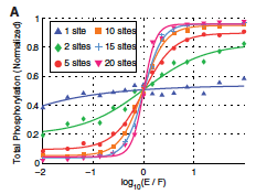 Ultrasensitivity