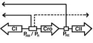 Lambda switch