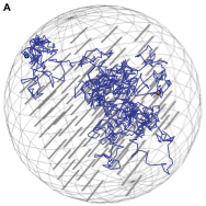 DNA target finding