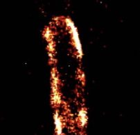 PALM E. coli